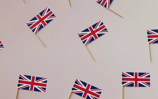 Is the ‘Commercial Scale’ of Medical Cannabis in the UK Inappropriate?