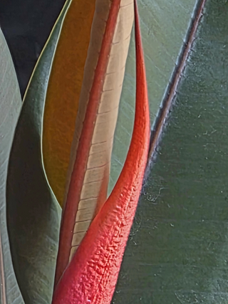 1779796283350.png