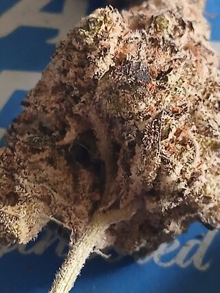 20260529_123012.jpg