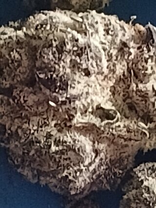 20260529_123104.jpg