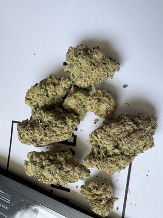 IMG_3180.jpeg