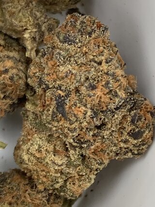 IMG_3497.jpeg