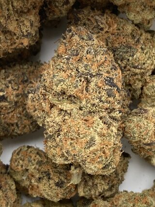 IMG_3496.jpeg