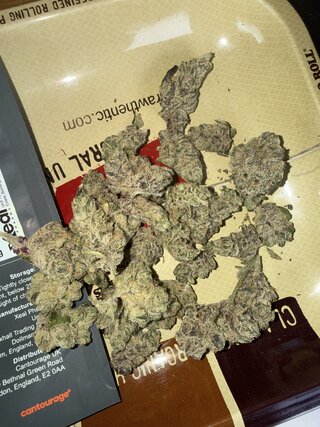 IMG_2602.jpeg