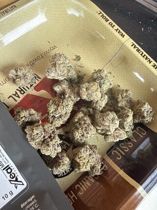 IMG_2606.jpeg