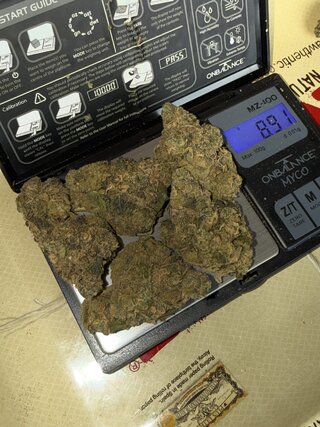 IMG_2627.jpeg
