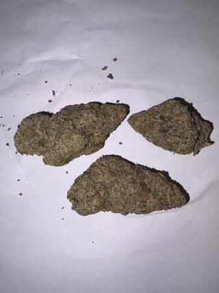 IMG_2492.jpeg