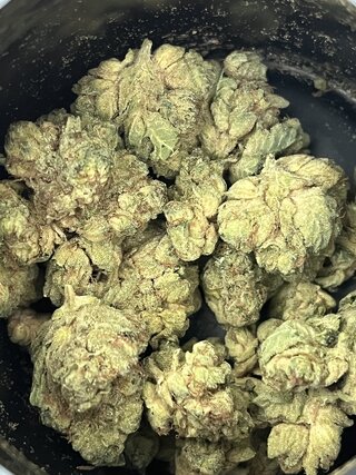 IMG_6031.jpeg