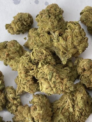IMG_3522.jpeg IMG_3522.jpeg