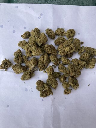 IMG_3521.jpeg IMG_3521.jpeg