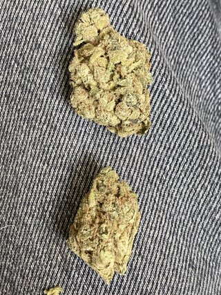 IMG_3520.jpeg IMG_3520.jpeg