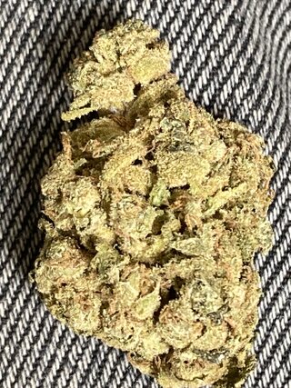 IMG_3519.jpeg IMG_3519.jpeg