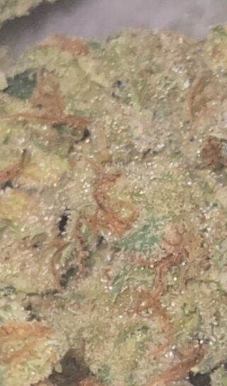 Screenshot_20260610_201629_Gallery.jpg