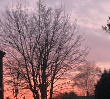 IMG_2194.jpeg