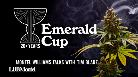Tim Blake YouTube.jpg Tim Blake YouTube.jpg