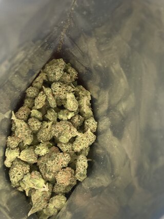 IMG_2240.jpeg
