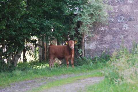 DSC_0095.JPG