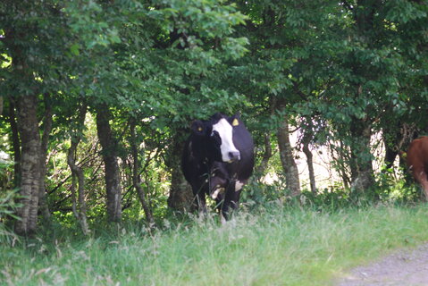DSC_0086.JPG