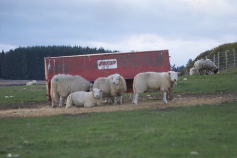 DSC_0414.jpeg