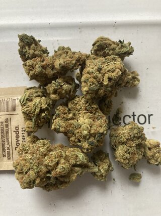 IMG_2254.jpeg