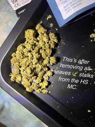 IMG_3611.jpeg