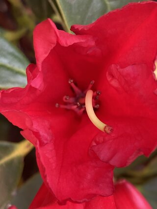 IMG_2294.jpeg