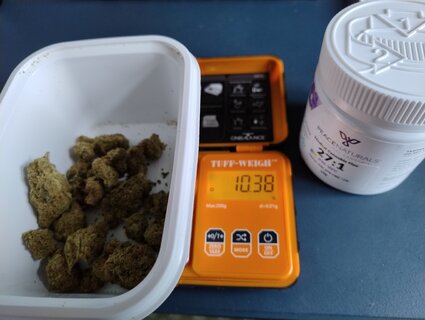 1000011272.jpg