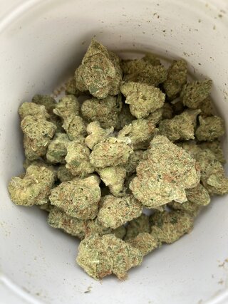IMG_2327.jpeg