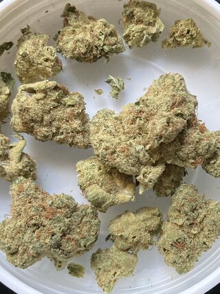 IMG_2338.jpeg