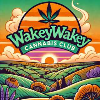 new sunset Wakey small.png