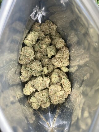 IMG_2347.jpeg