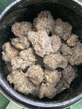 IMG_2349.jpeg