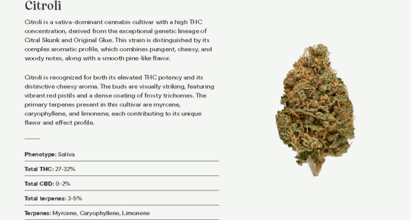 Screenshot 2025-05-09 at 12-14-30 Strains – Cielo Verde Inc.png