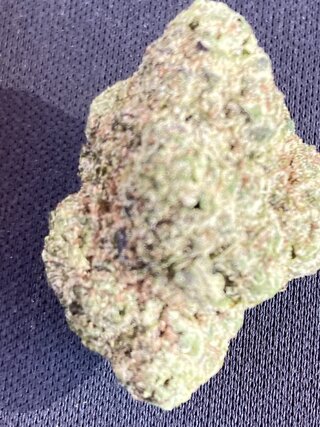 IMG_2413.jpeg