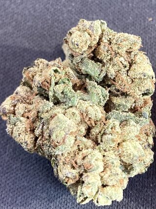IMG_2412.jpeg