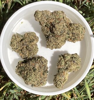 IMG_2416.jpeg
