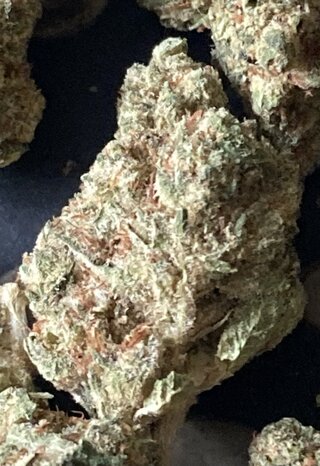 IMG_2430.jpeg