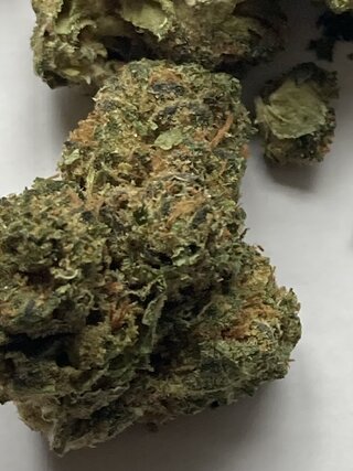 IMG_2435.jpeg