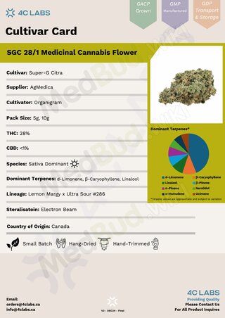 Screenshot_20-5-2025_182632_files.medbud.wiki.jpeg