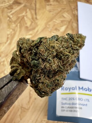 IMG_1820.jpeg