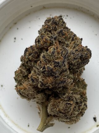 IMG_2470.jpeg