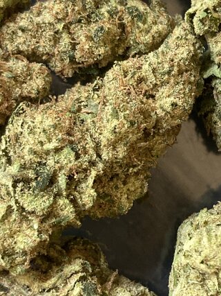 IMG_2493.jpeg