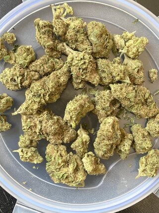 IMG_2492.jpeg