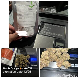 IMG_4001.jpeg