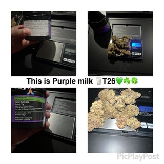 IMG_4002.jpeg