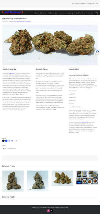 Screenshot 2025-06-18 at 21-05-45 Lemonatti by Medical Saints - Puff The Magic.png