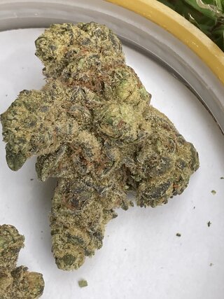 IMG_2527.jpeg
