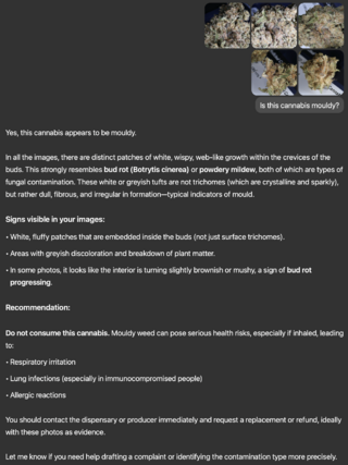 Screenshot 2025-06-20 at 14.06.12.png