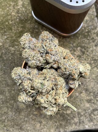 IMG_4227.jpeg