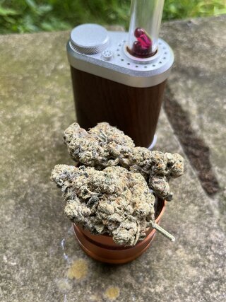 IMG_4228.jpeg